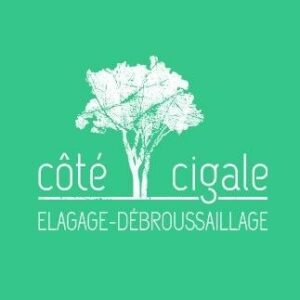 Abattage et élagage Tailles de haies et débroussaillage Carottage et grignotage Enlèvement d'embâcle Montpellier Béziers Nîmes Sète Avignon